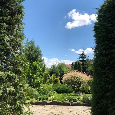 Smerekovyi Dvir