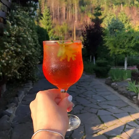 Smerekovyi Dvir Zhdeniievo