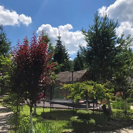 Smerekovyi Dvir Inn